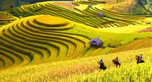 SÀI GÒN - HÀ NỘI - HẠ LONG - SAPA